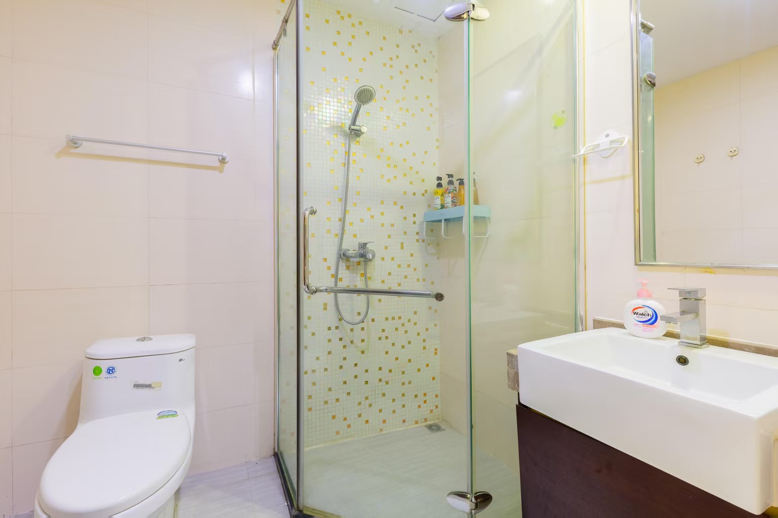 望海国际广场 1室1厅1卫 45.0万 望海国际广场 1室1厅1卫 45.0万卫生间