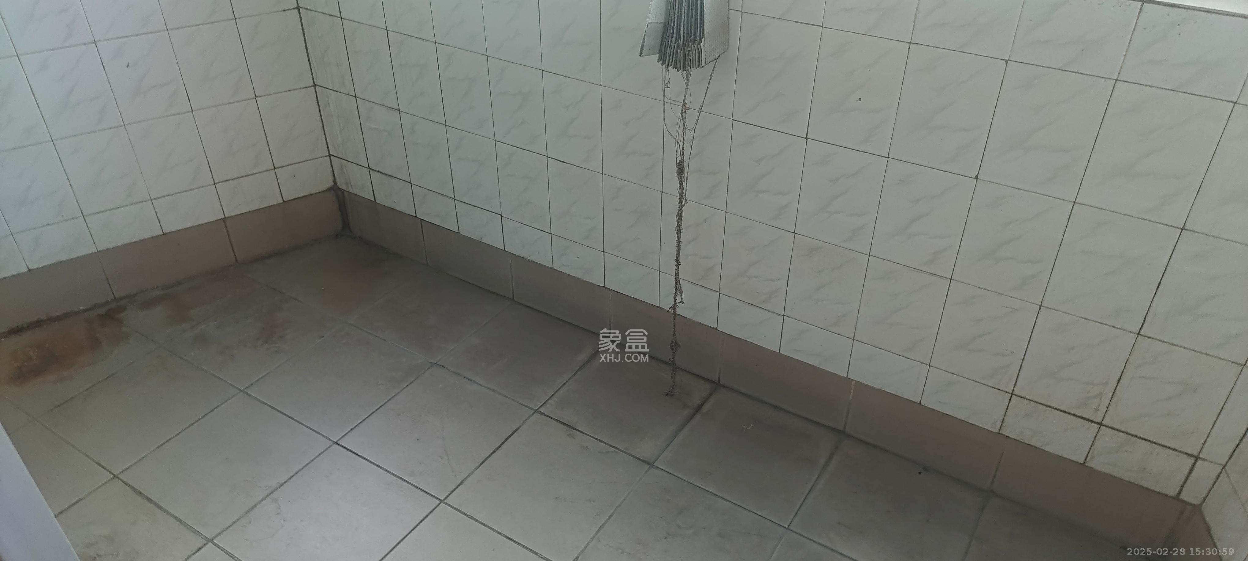 芙蓉广场农行单位宿舍  1室0厅0卫   2000.00元/月室内图