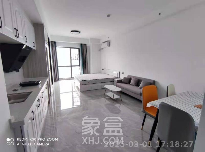 大汉月亮河畔  1室1厅1卫   1200.00元/月室内图
