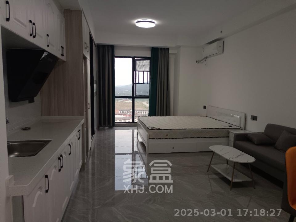 大汉月亮河畔  1室1厅1卫   1200.00元/月室内图