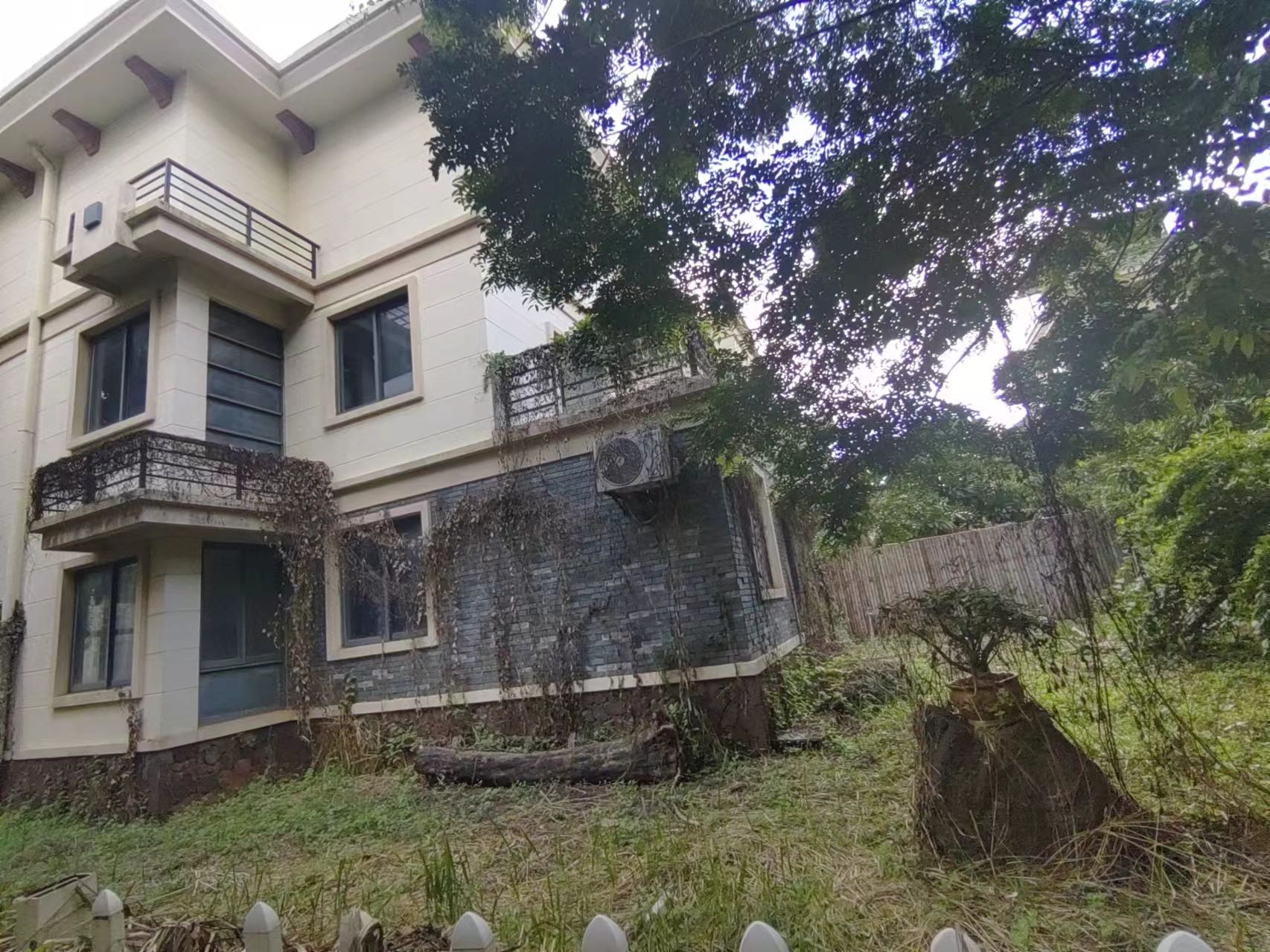 芒果树 6室3厅4卫 850.0万 芒果树 6室3厅4卫 850.0万客厅