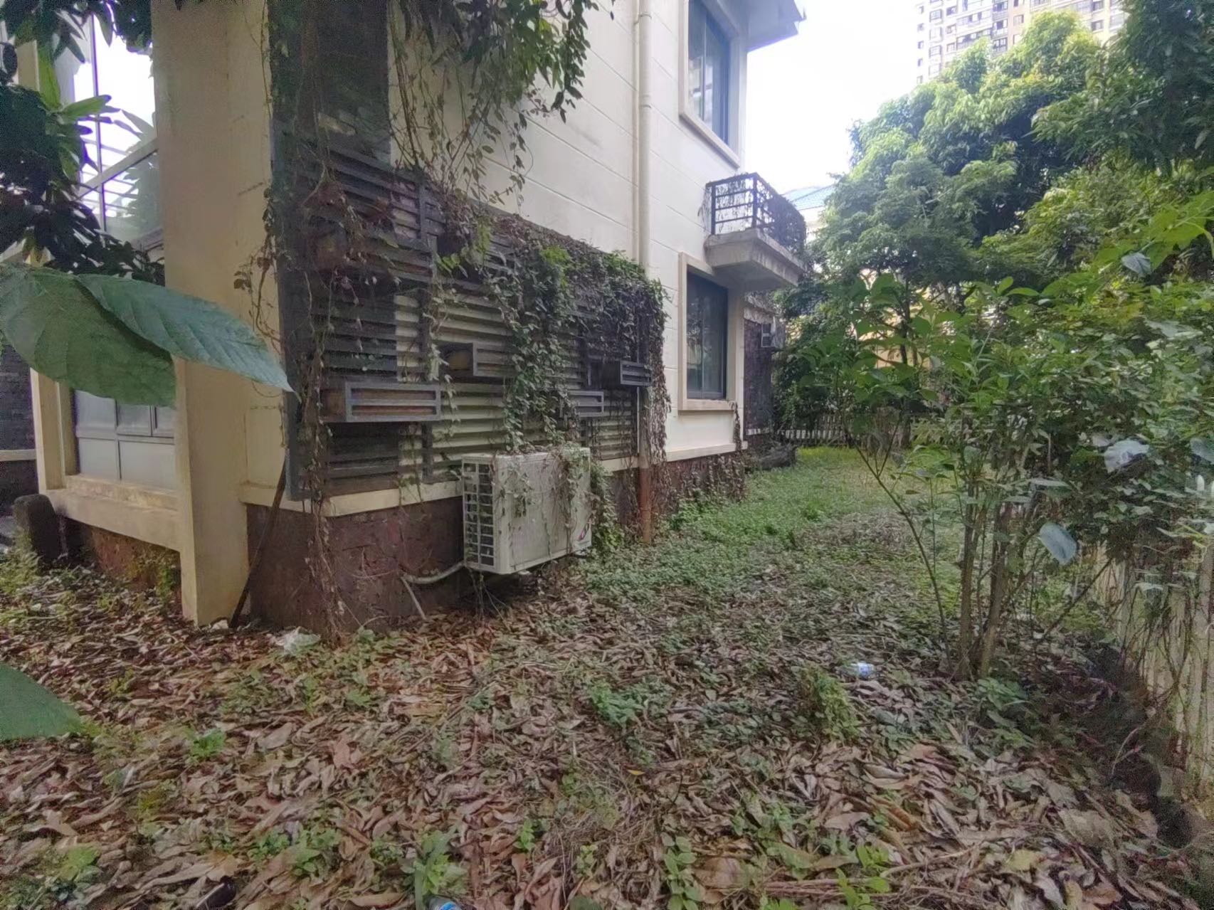 芒果树 6室3厅4卫 850.0万 芒果树 6室3厅4卫 850.0万客厅