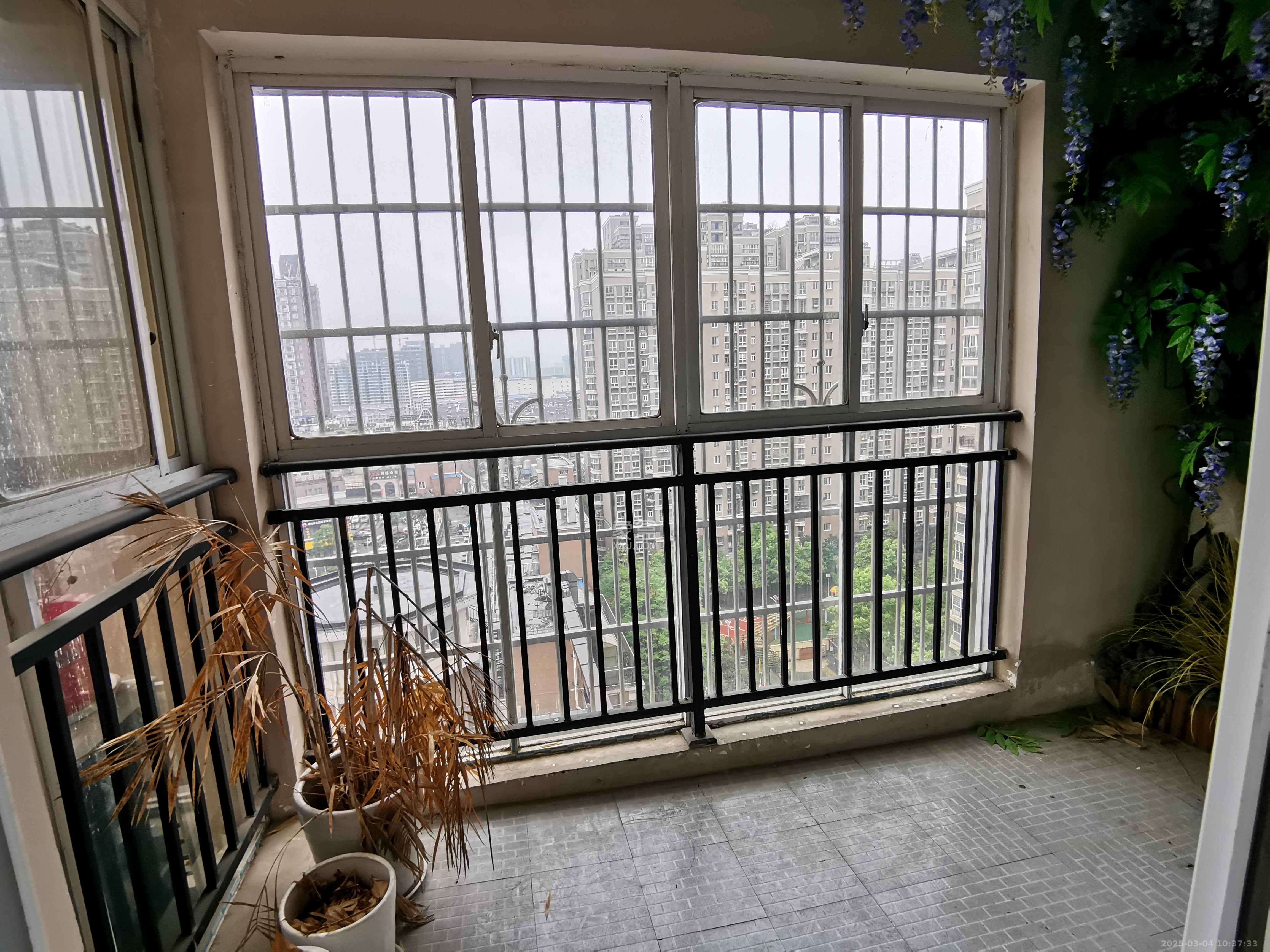 上河国际C区 3室2厅1卫 2300.0元/月 上河国际C区 3室2厅1卫 2300.0元/月室内图