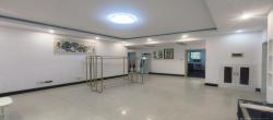 茶叶大市场“山水茗园”  3室2厅2卫   1500.00元/月