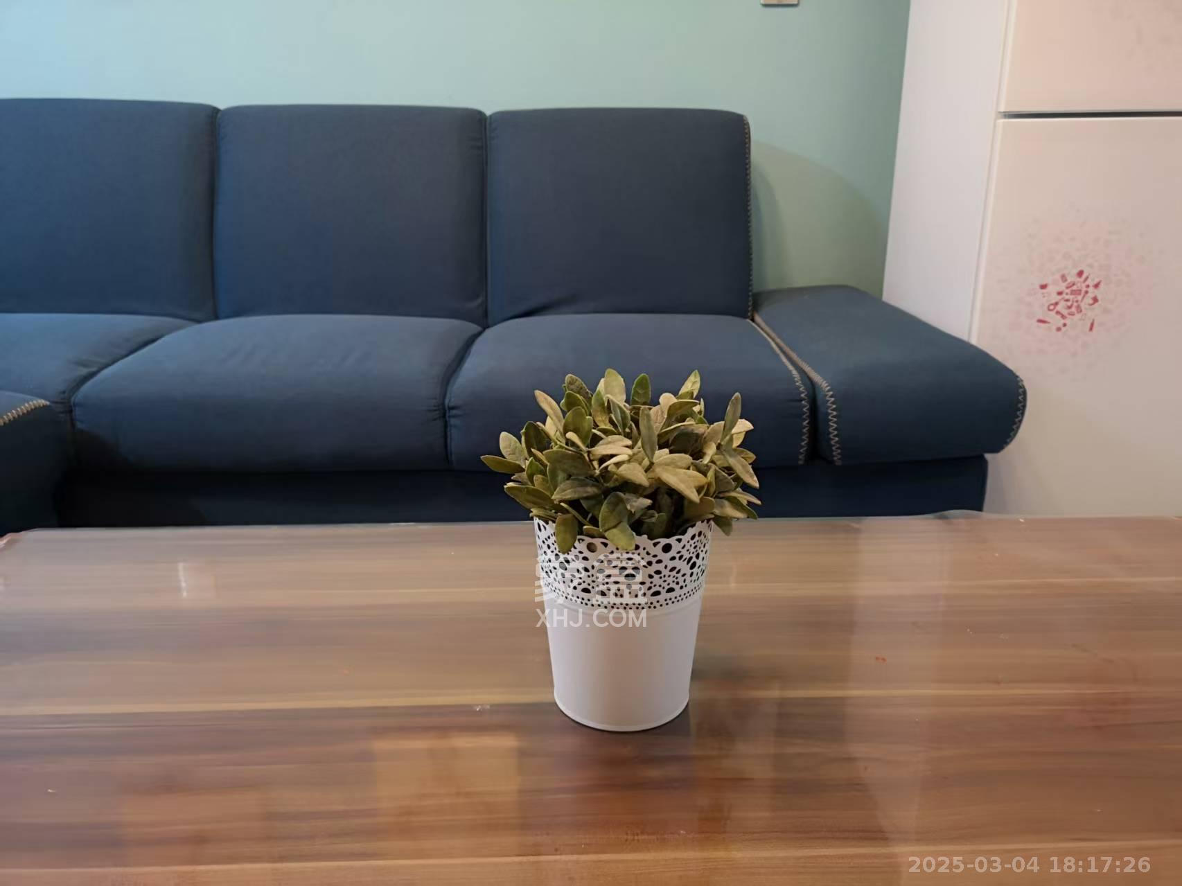 中建芙蓉嘉苑  1室1厅1卫    1250.0元/月室内图