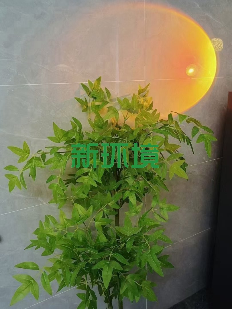 金色家园 1室1厅1卫 1500.0元/月 金色家园 1室1厅1卫 1500.0元/月室内图