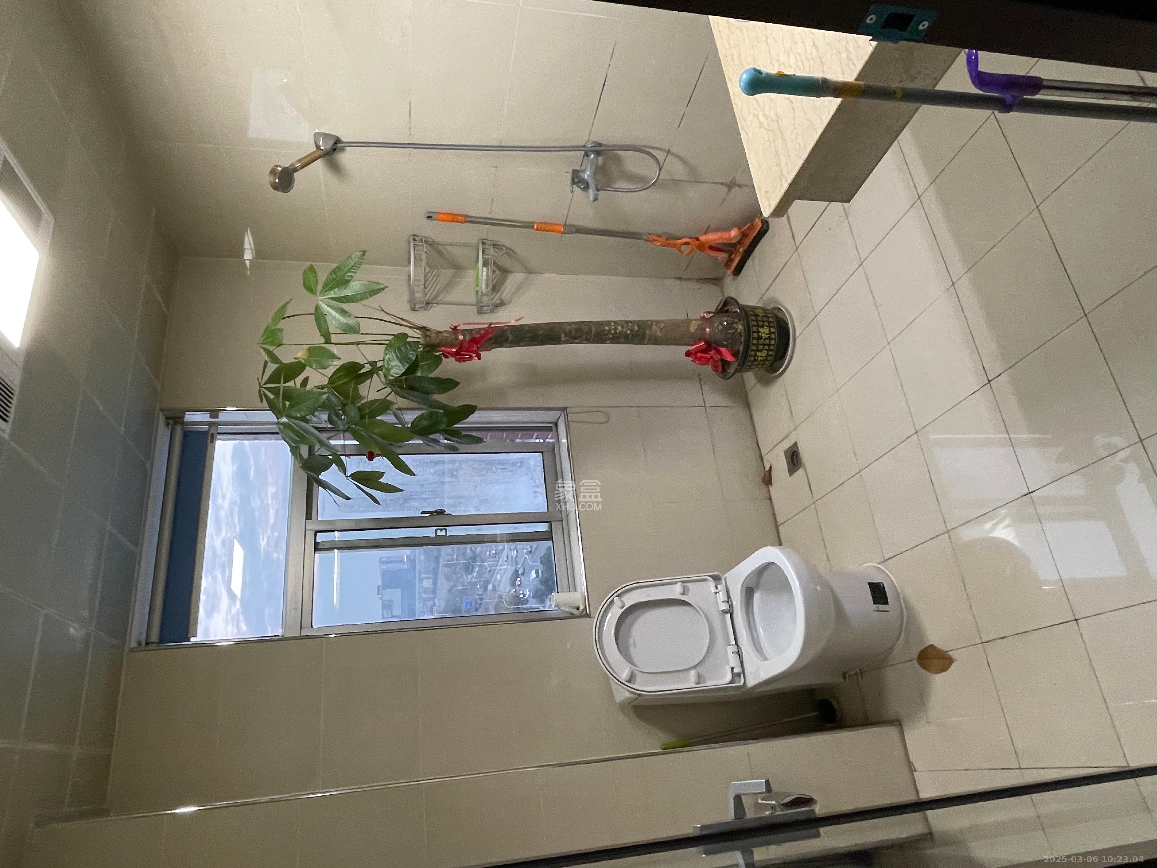 至雅大厦  4室2厅2卫   6500.00元/月室内图