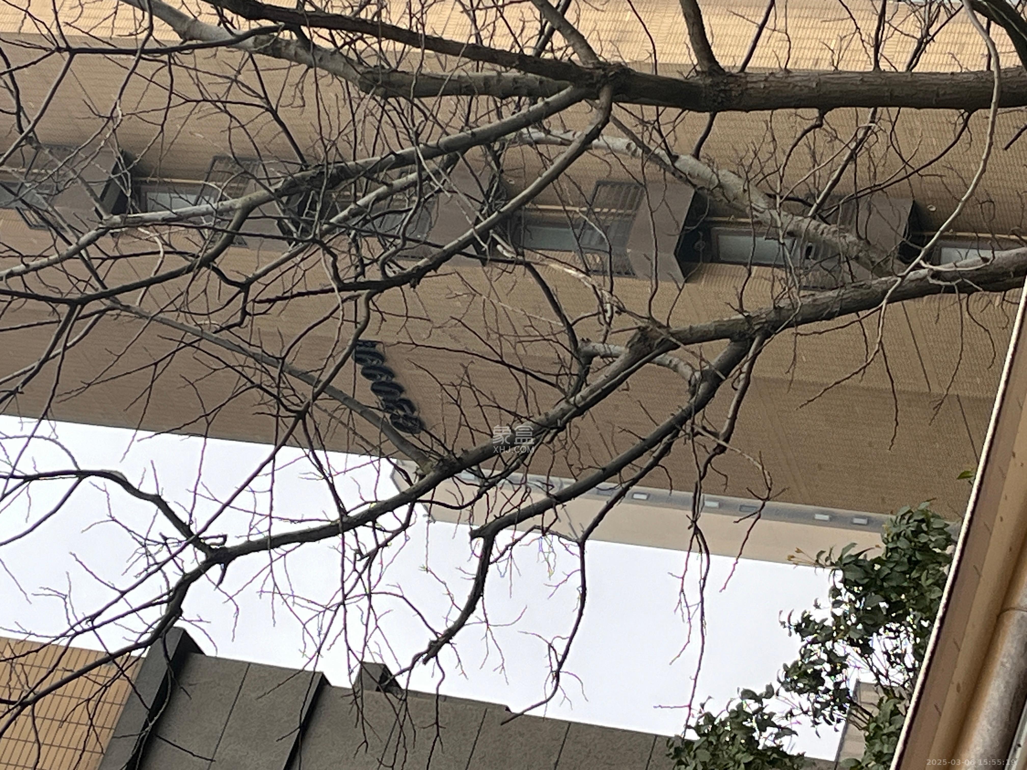 金地三千府(金地湖山樾、金地自在城) 2室1厅1卫 1500.0元/月 金地三千府(金地湖山樾、金地自在城) 2室1厅1卫 1500.0元/月室内图