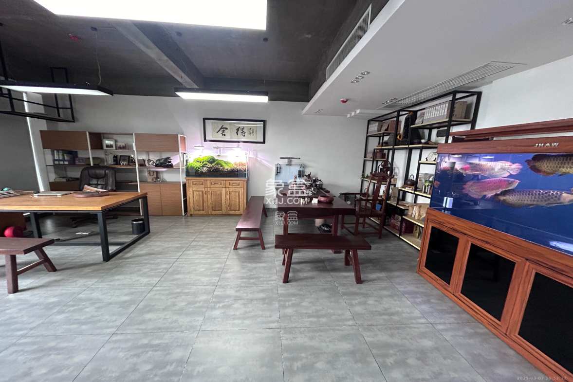 万坤图财富广场 1室1厅0卫 9000.0元/月 万坤图财富广场 1室1厅0卫 9000.0元/月室内图