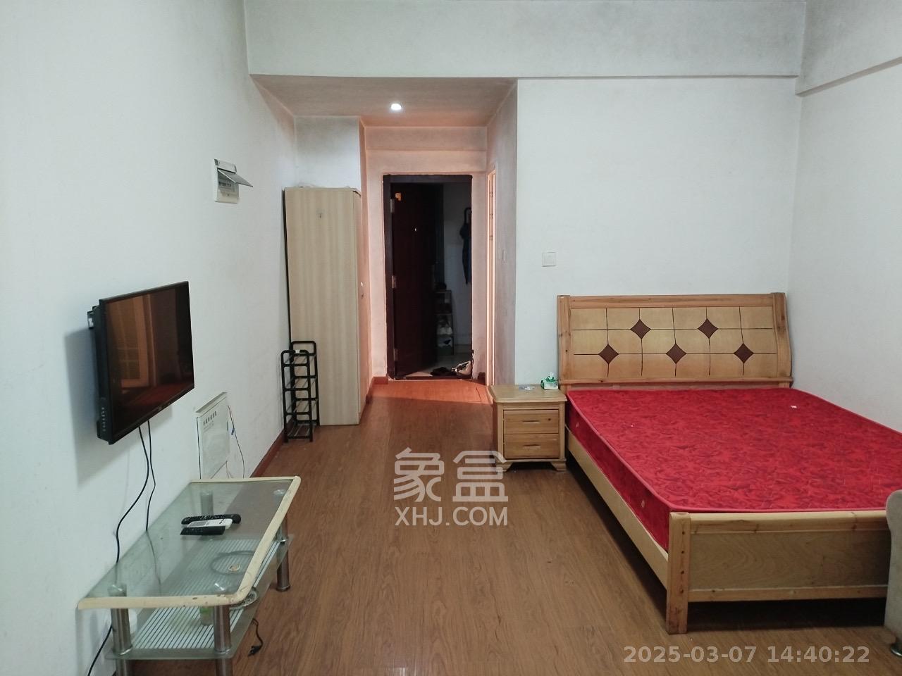 光明城市（星辰青年城）  1室1厅1卫   1000.00元/月