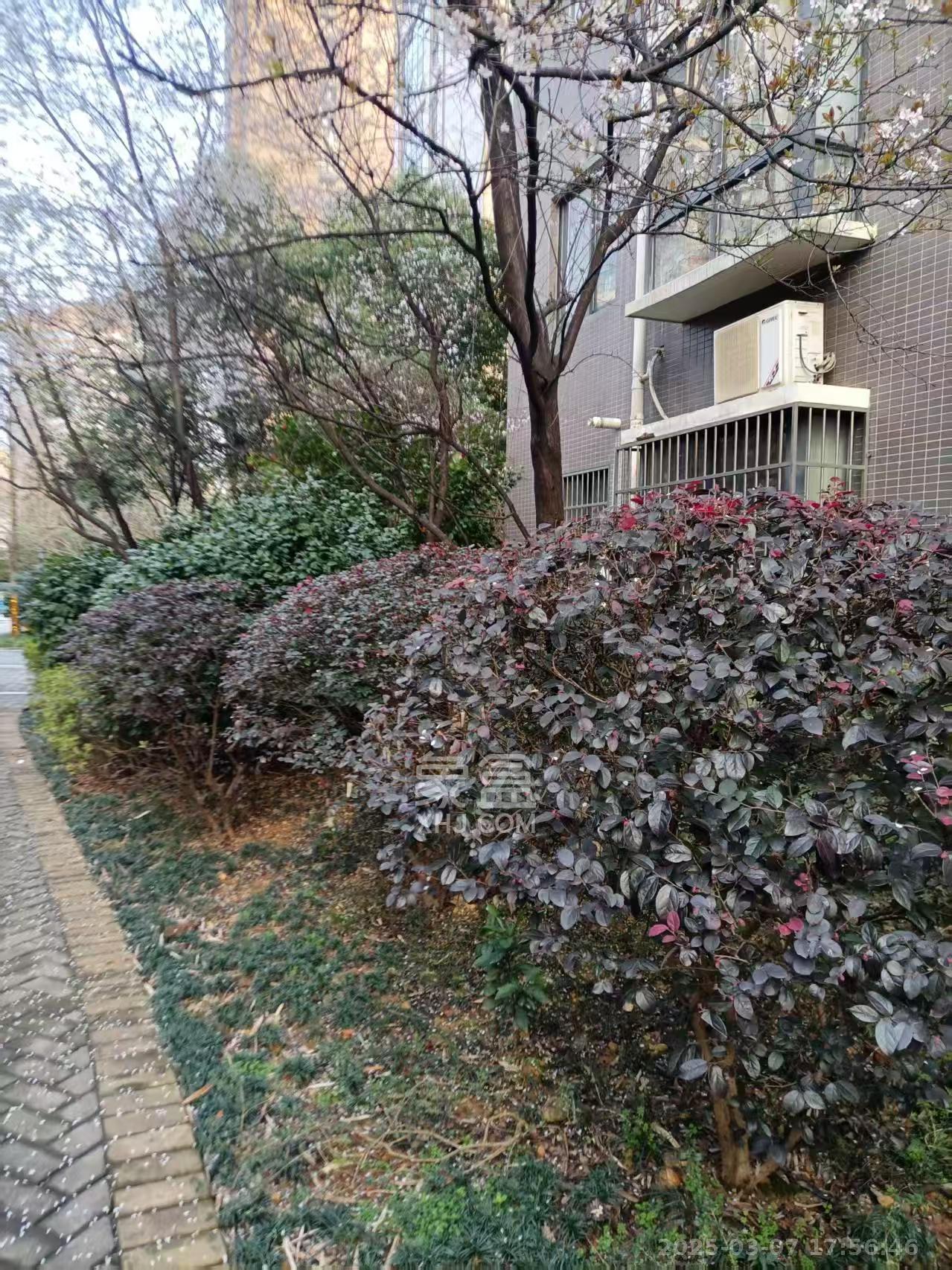湘诚嘉园  3室2厅2卫   2500.00元/月室内图
