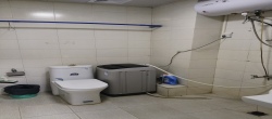 城市精英  2室1厅1卫   2100.00元/月
