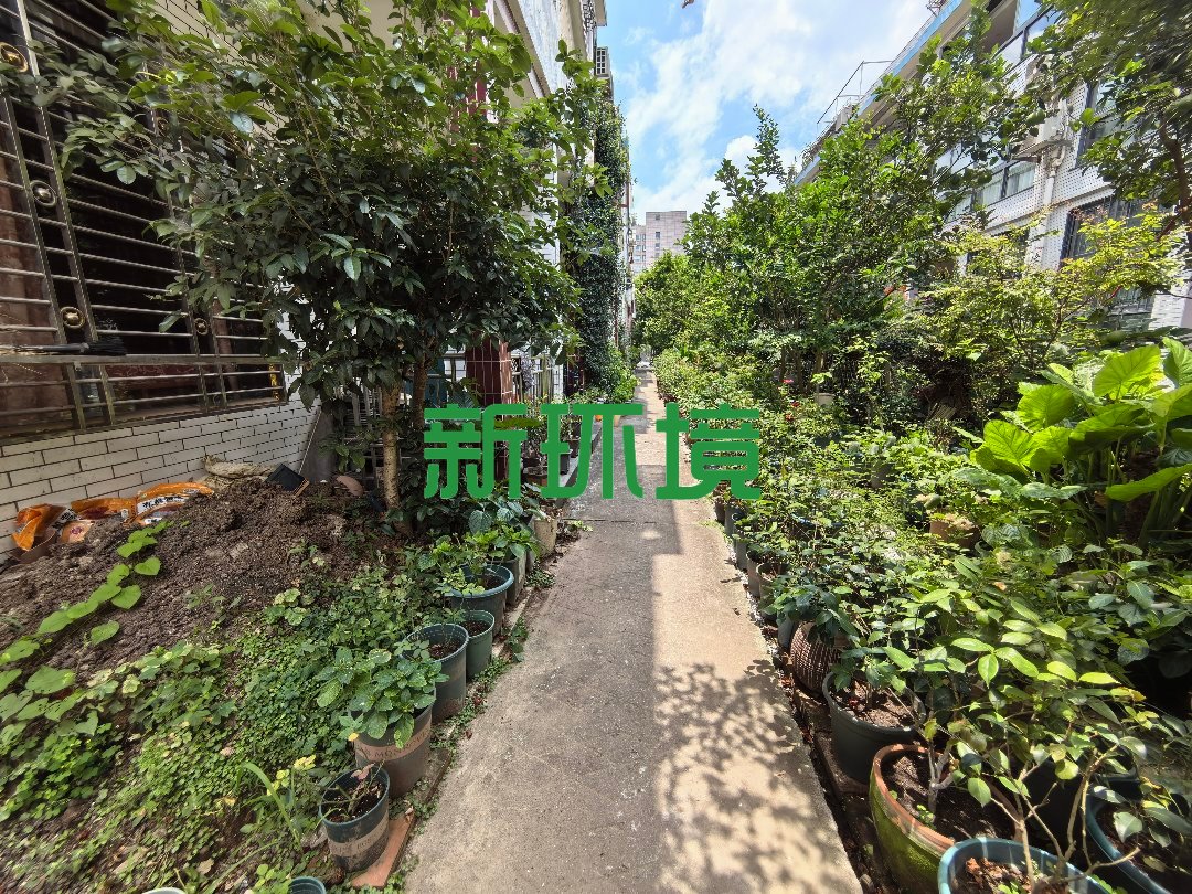 广茂园一期  5室2厅2卫   92.00万客厅