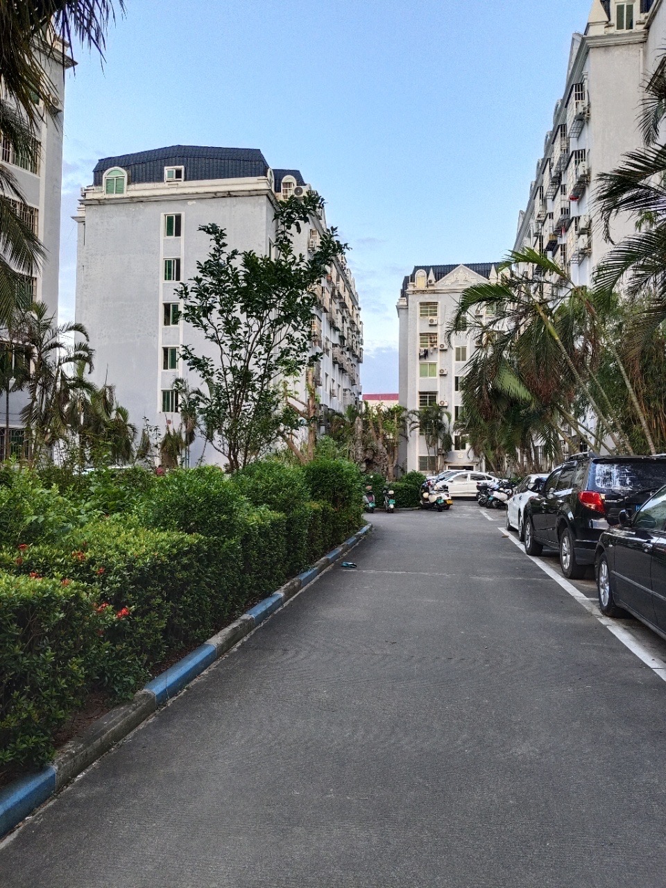 金美花园 2室1厅1卫 63.0万 金美花园 2室1厅1卫 63.0万客厅