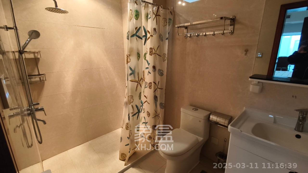 北辰定江洋  2室2厅2卫   7000.00元/月室内图