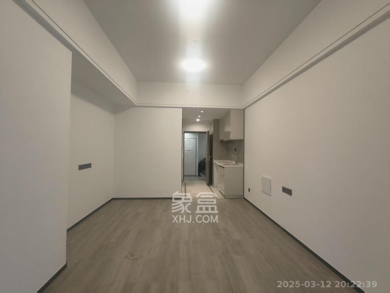 中建宝铂公馆  1室1厅1卫   1900.00元/月室内图