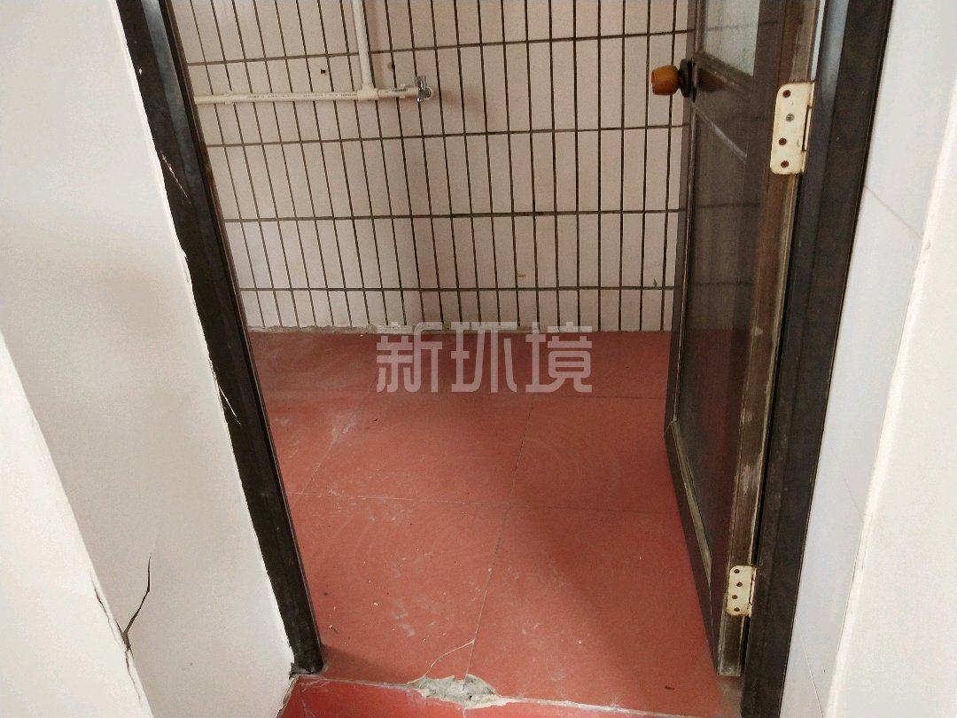 市中心散盘  8室3厅4卫   115.00万客厅