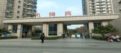 百家新城(先锋苑)  2室1厅1卫   1200.00元/月