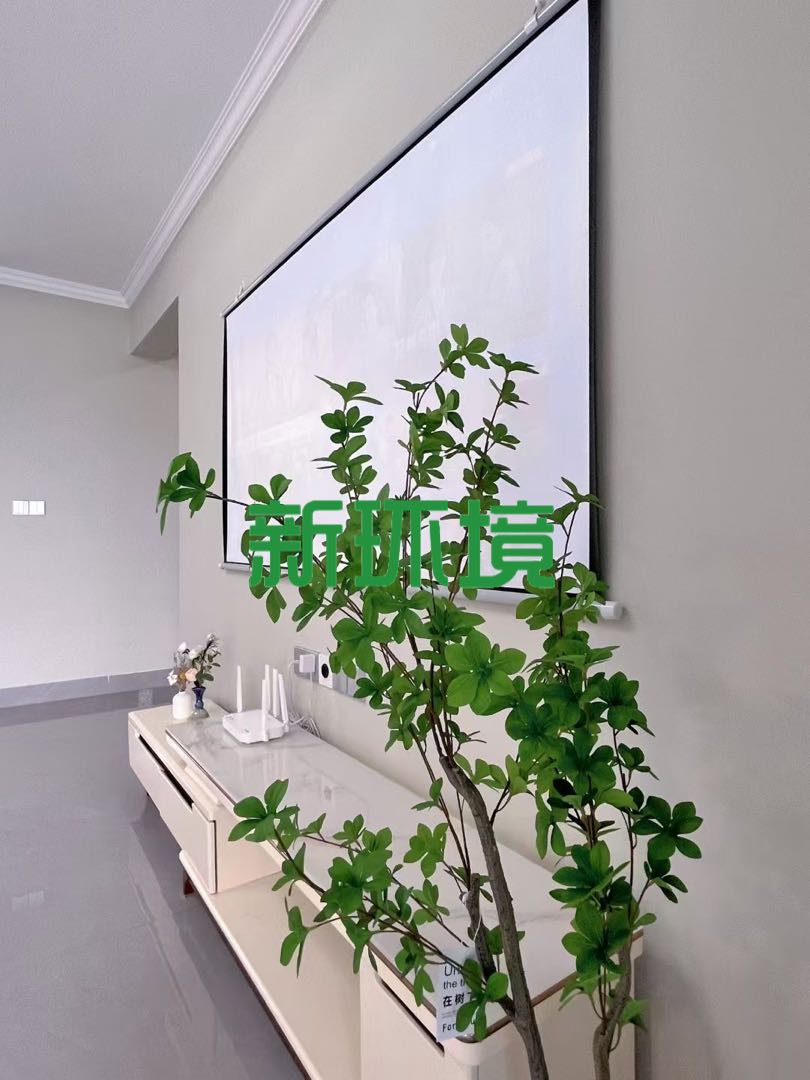 福天华府  3室2厅1卫   2700.00元/月室内图