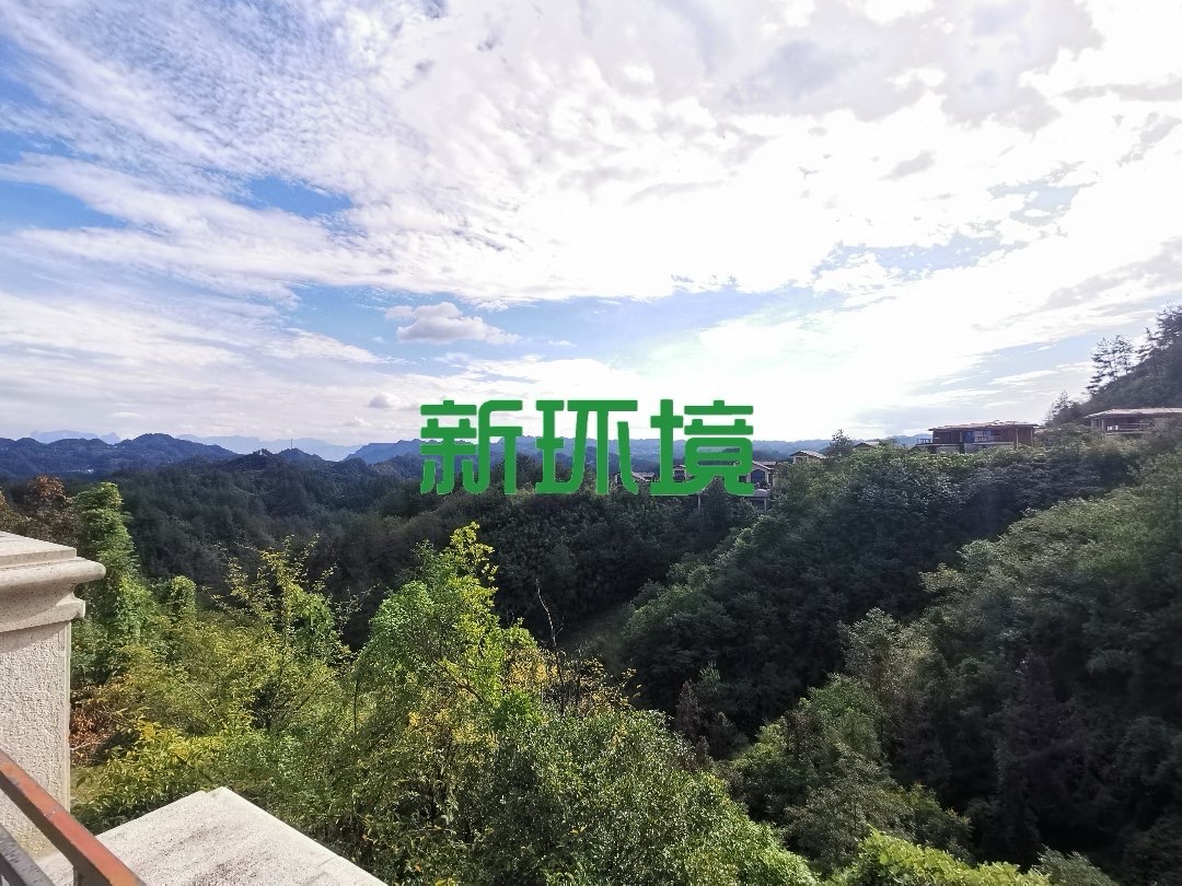 碧桂园  5室2厅2卫   420.00万客厅