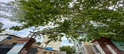 建管办住宅楼  2室1厅1卫   82.00万