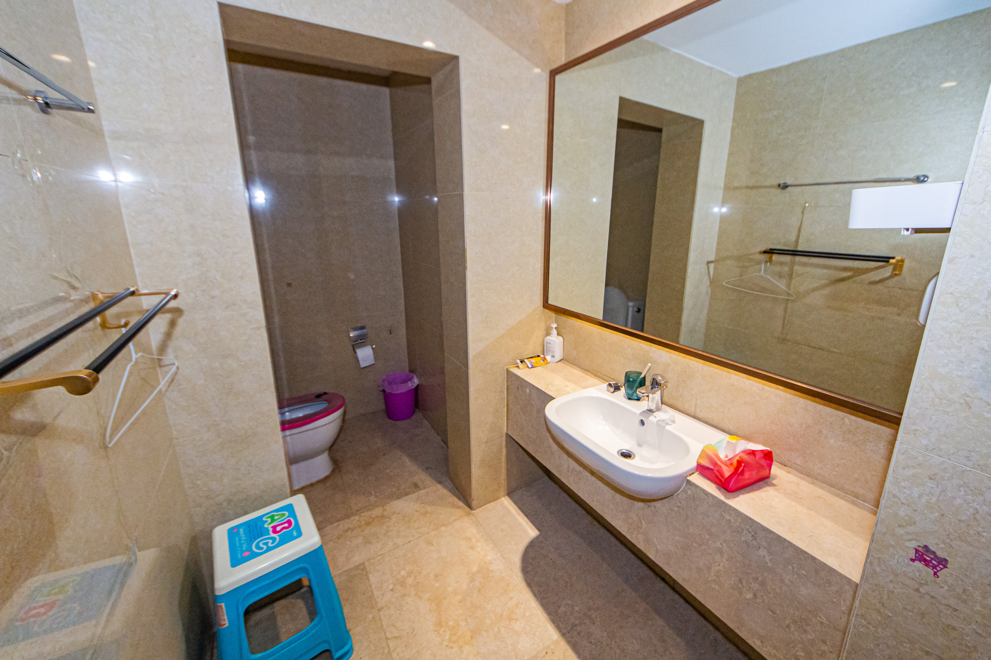 北辰定江洋  3室2厅2卫    350.0万卫生间