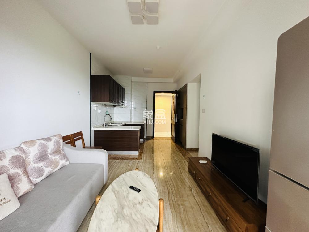 碧桂园一、二期（中央首府）  3室2厅1卫    99.0万