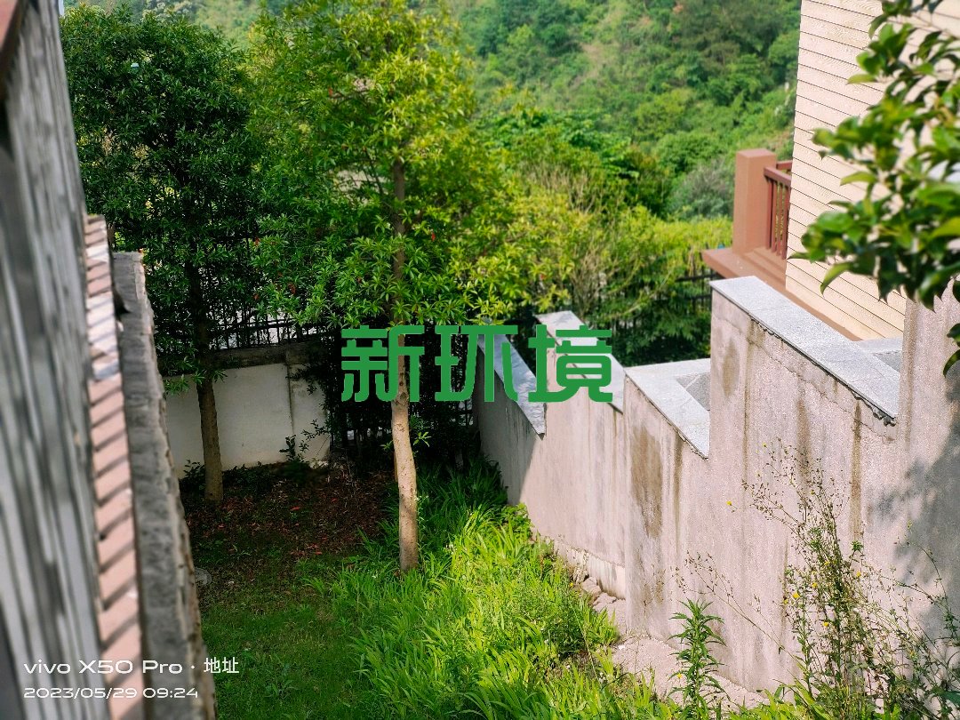 碧桂园  6室2厅2卫   248.00万客厅