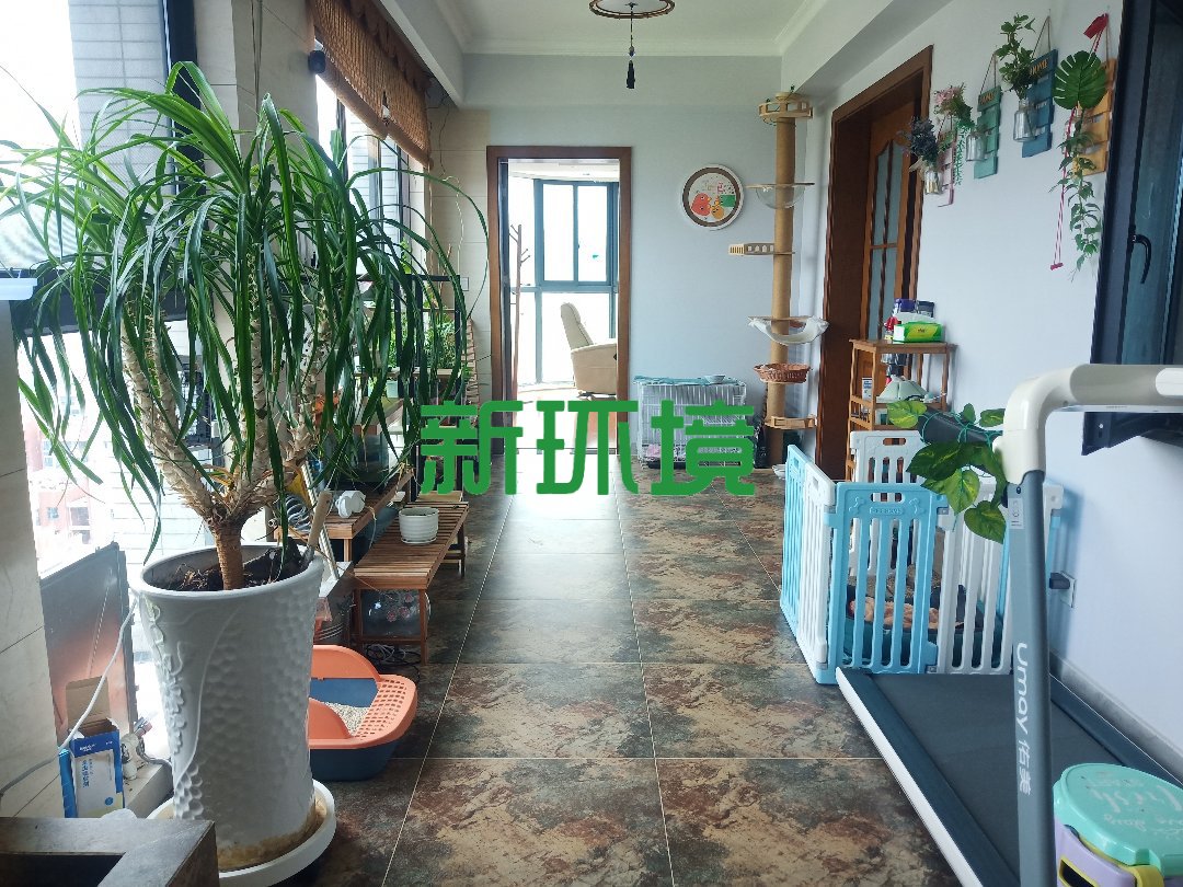 东方明珠 3室2厅2卫 2500.0元/月 东方明珠 3室2厅2卫 2500.0元/月室内图