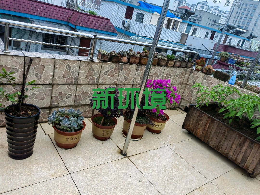 广茂园一期  5室2厅3卫   89.00万客厅