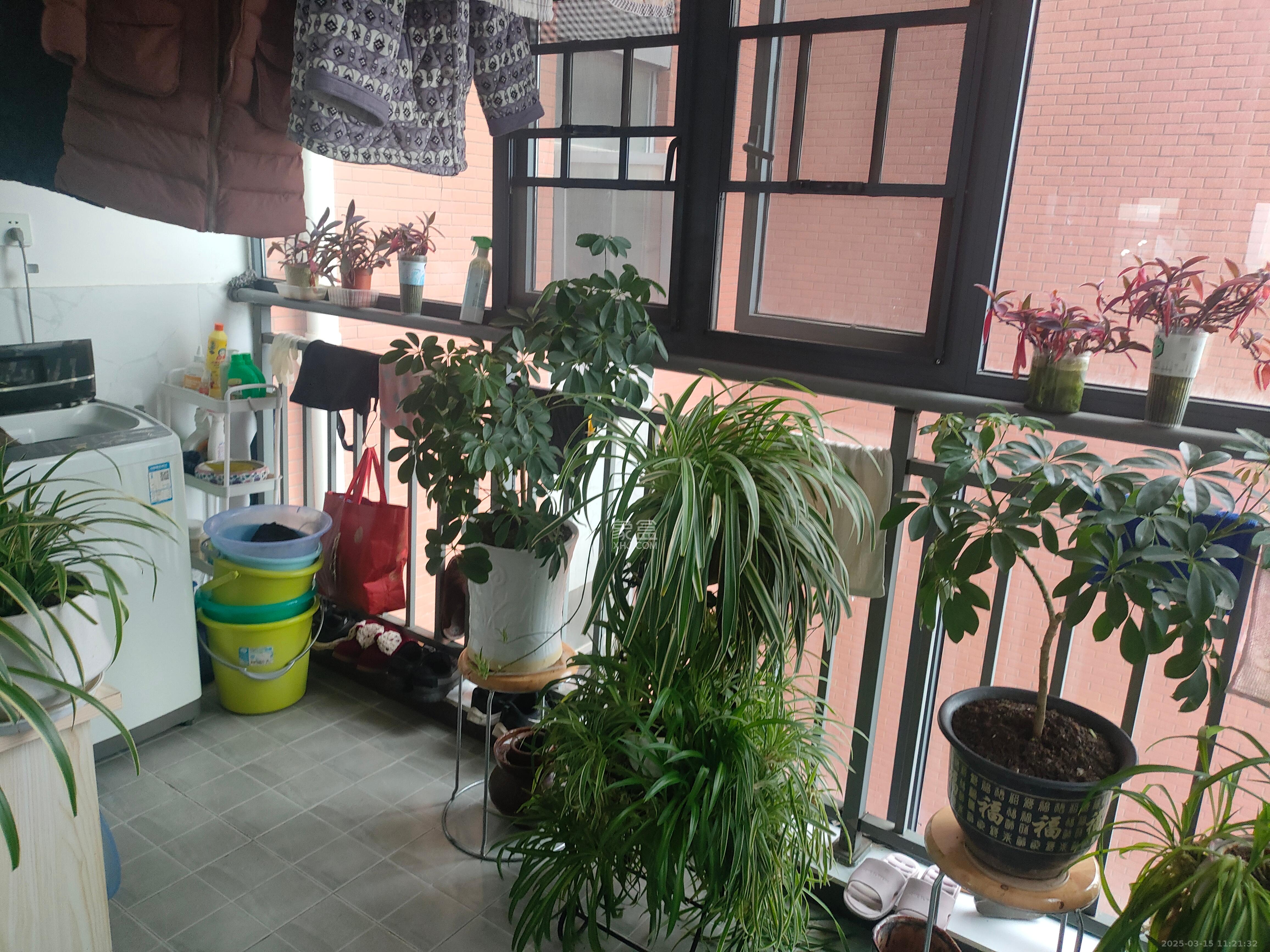 长永佳苑 3室2厅1卫 1800.0元/月 长永佳苑 3室2厅1卫 1800.0元/月室内图