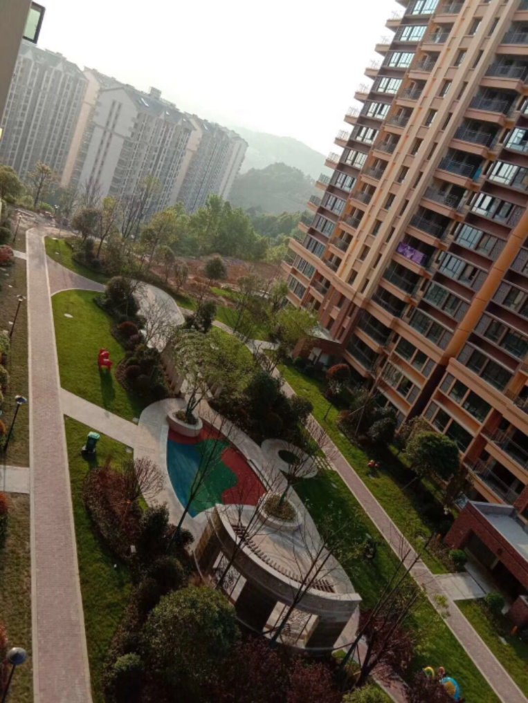 天门壹号 1室1厅1卫 900.0元/月 天门壹号 1室1厅1卫 900.0元/月室内图