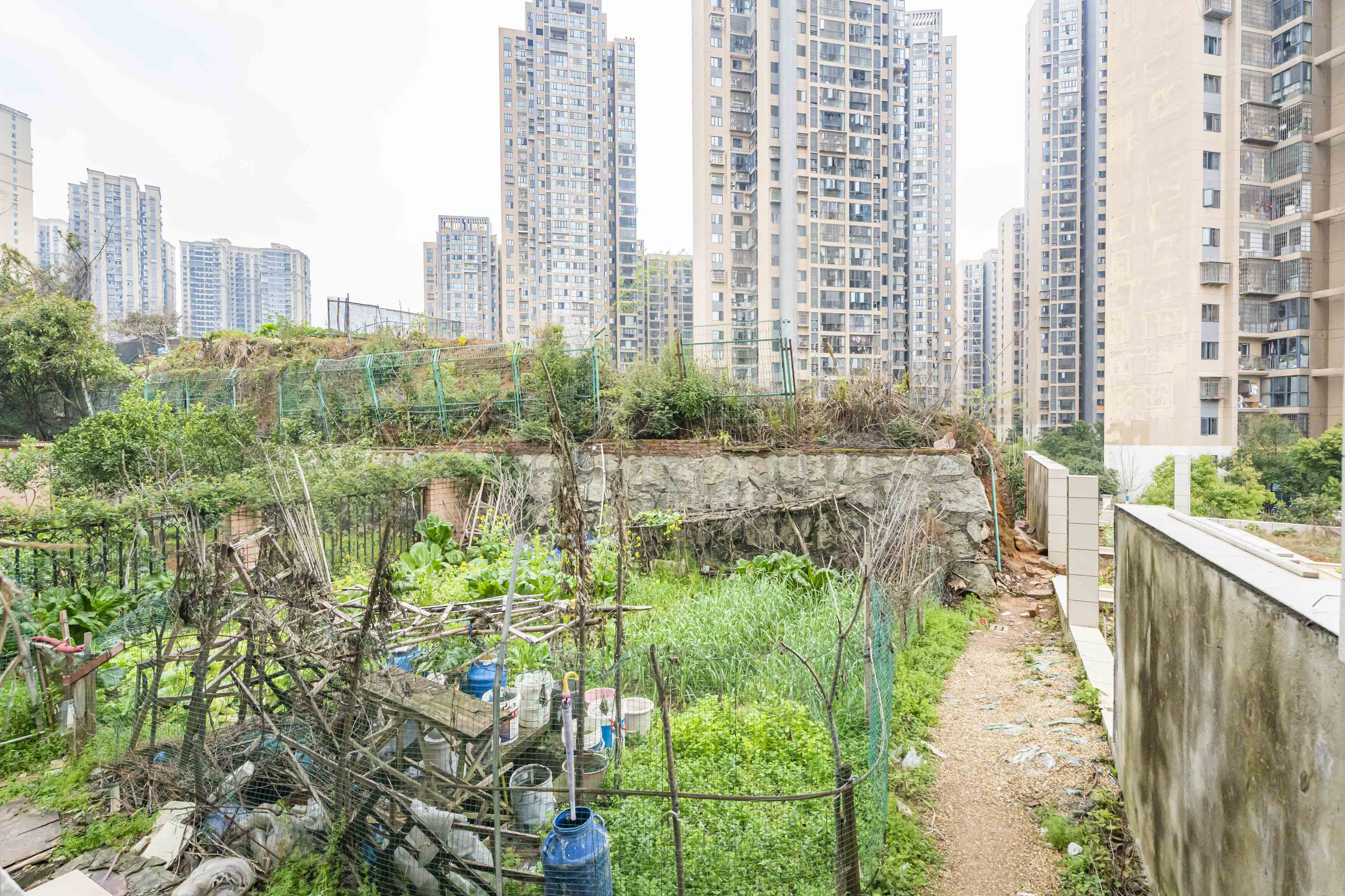 御景龙城  6室3厅4卫   290.00万其他