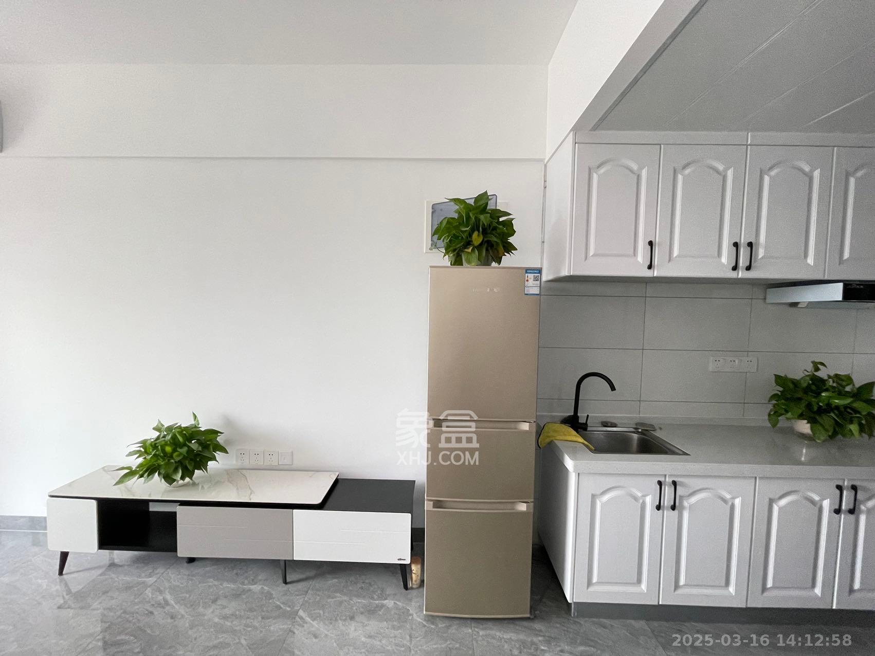 金地铂悦 1室0厅0卫 1300.0元/月 金地铂悦 1室0厅0卫 1300.0元/月室内图