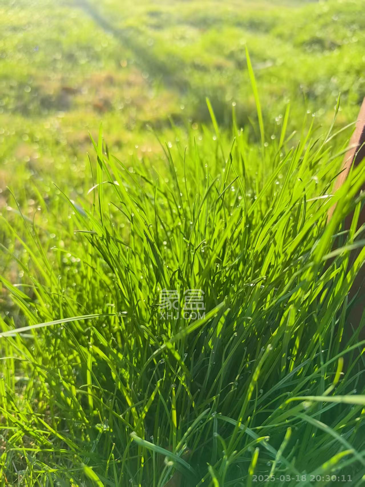 长丰小区  1室0厅0卫    1000.0元/月