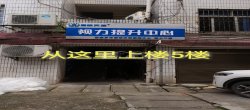 金巢小区  4室2厅2卫   1200.00元/月