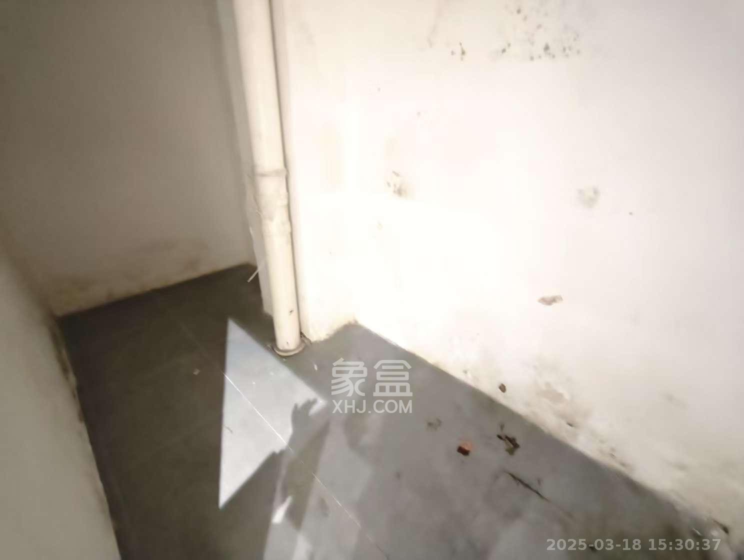 金科世界城   48.39㎡     2600.00元/月室内图