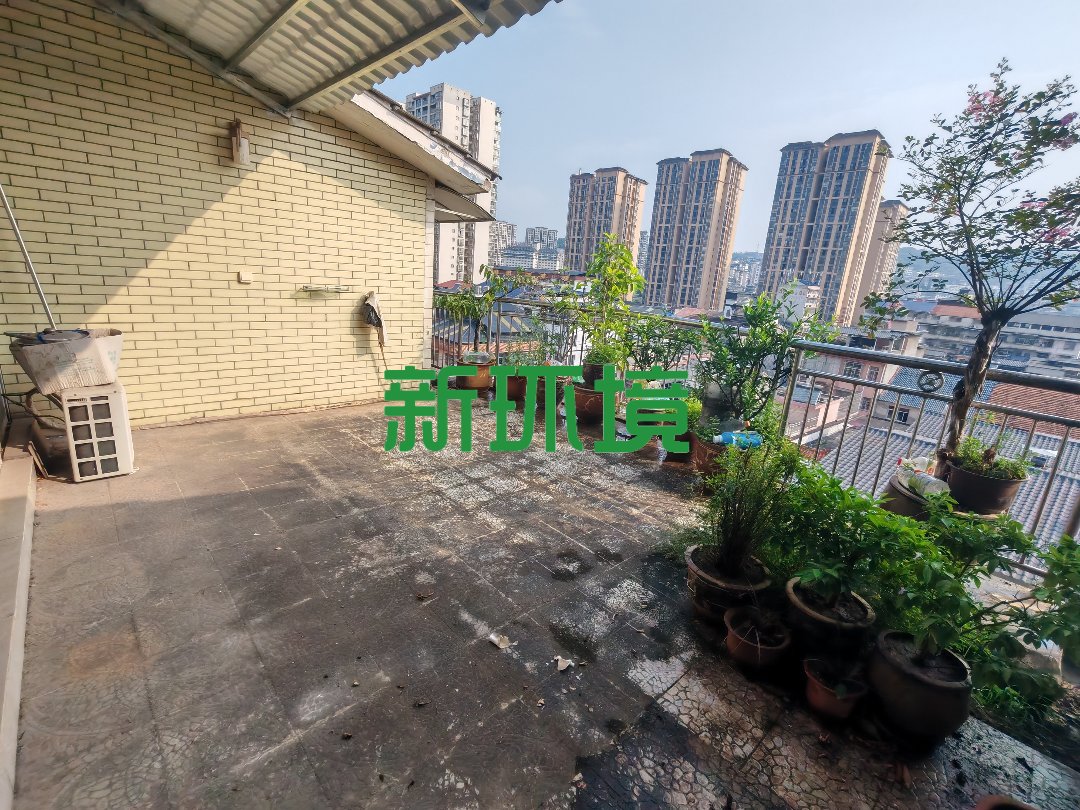 金丰花园 4室2厅2卫 1600.0元/月 金丰花园 4室2厅2卫 1600.0元/月室内图