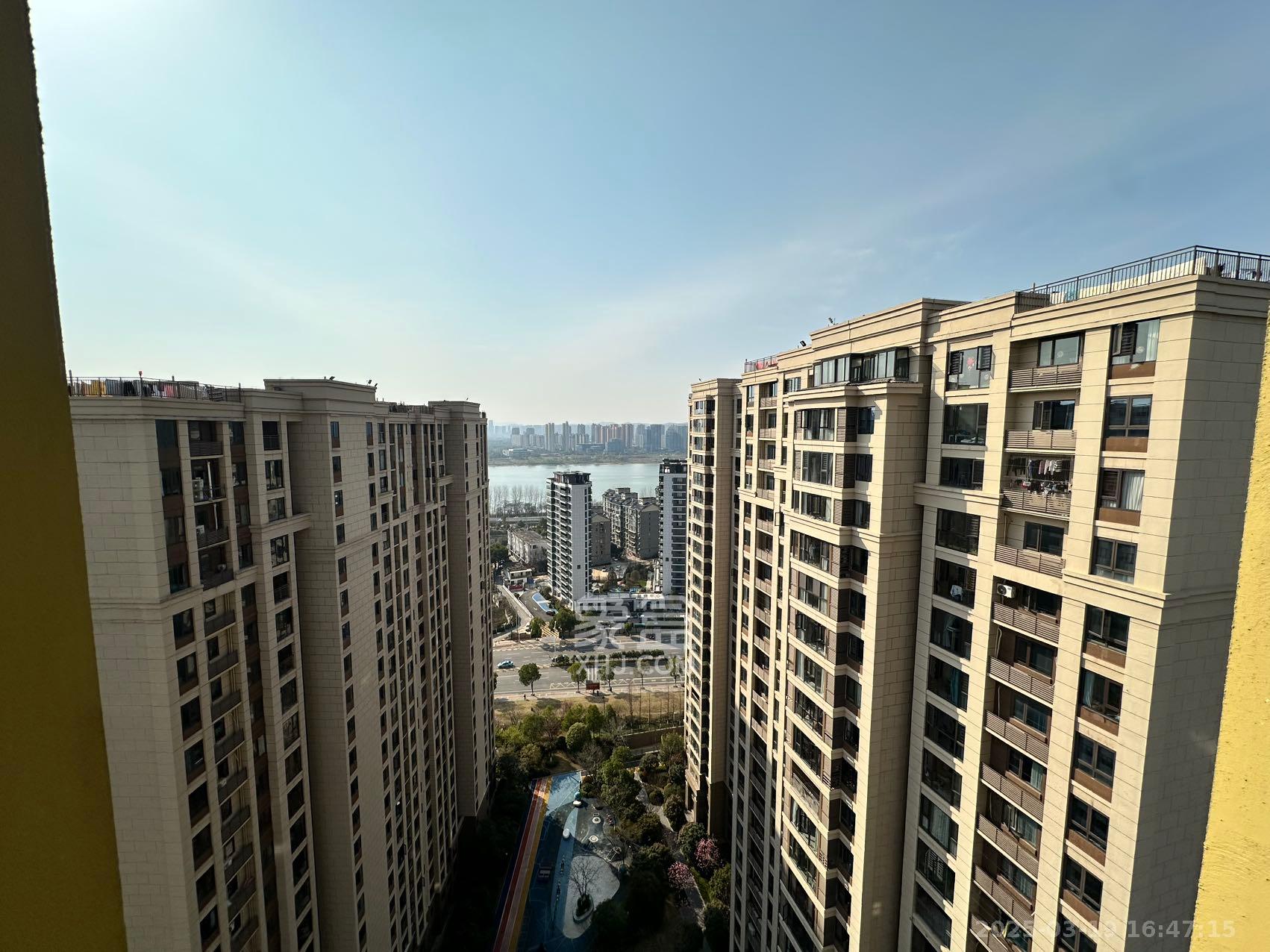 弘阳昕悦府  3室2厅1卫   3600.00元/月室内图