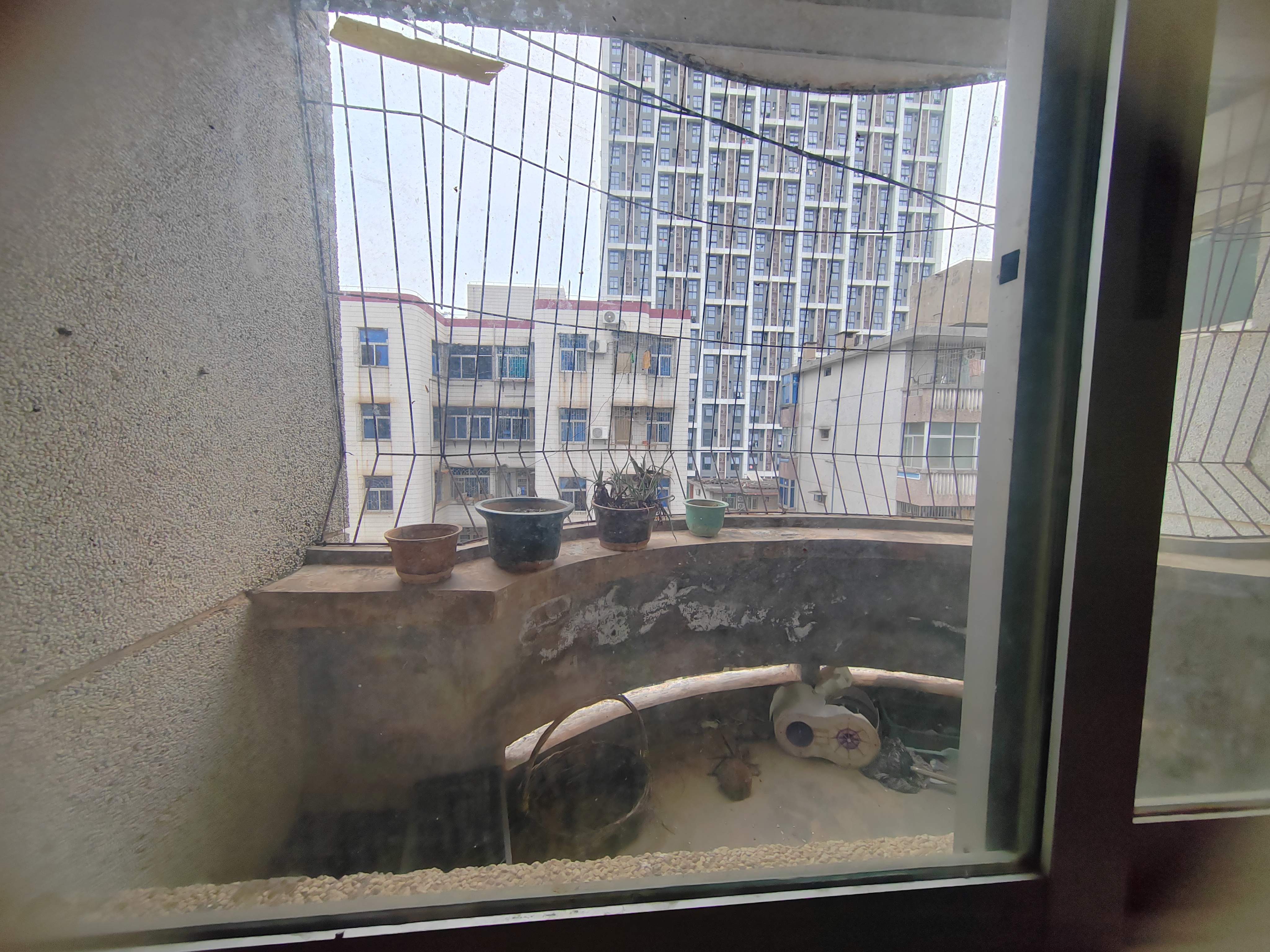 海南省人民医院宿舍区(秀英区) 3室2厅1卫 1500.0元/月 海南省人民医院宿舍区(秀英区) 3室2厅1卫 1500.0元/月室内图