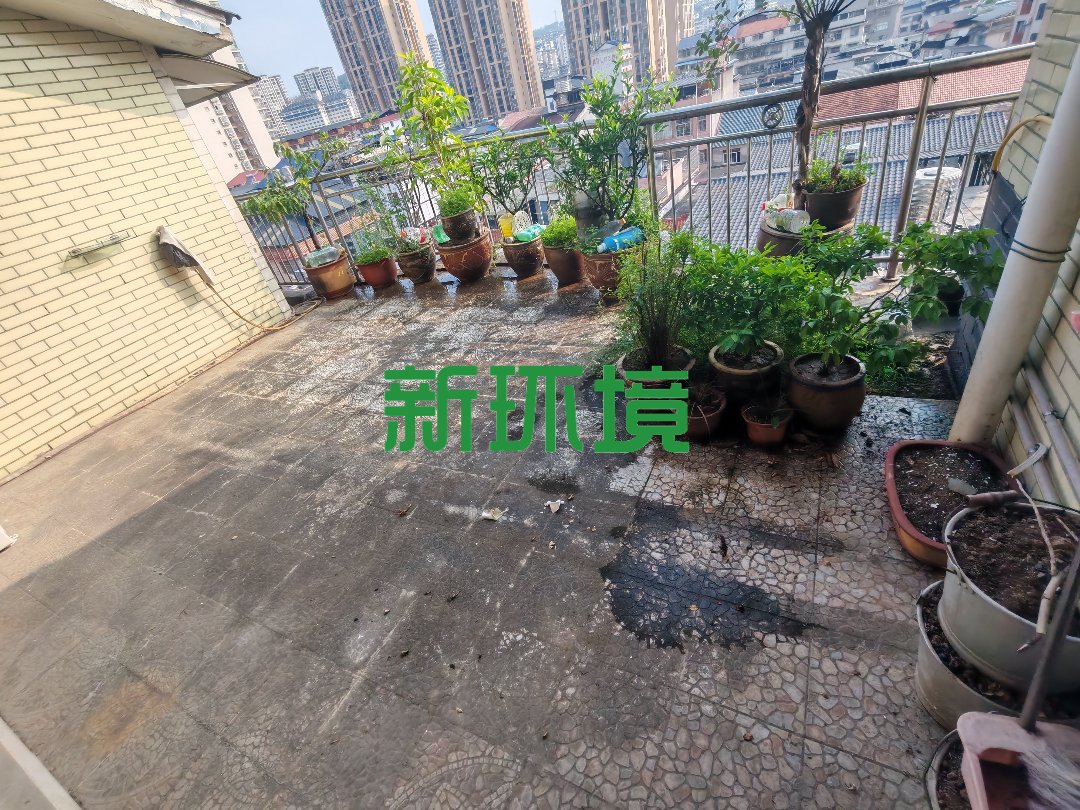 金丰花园 4室2厅2卫 1600.0元/月 金丰花园 4室2厅2卫 1600.0元/月室内图