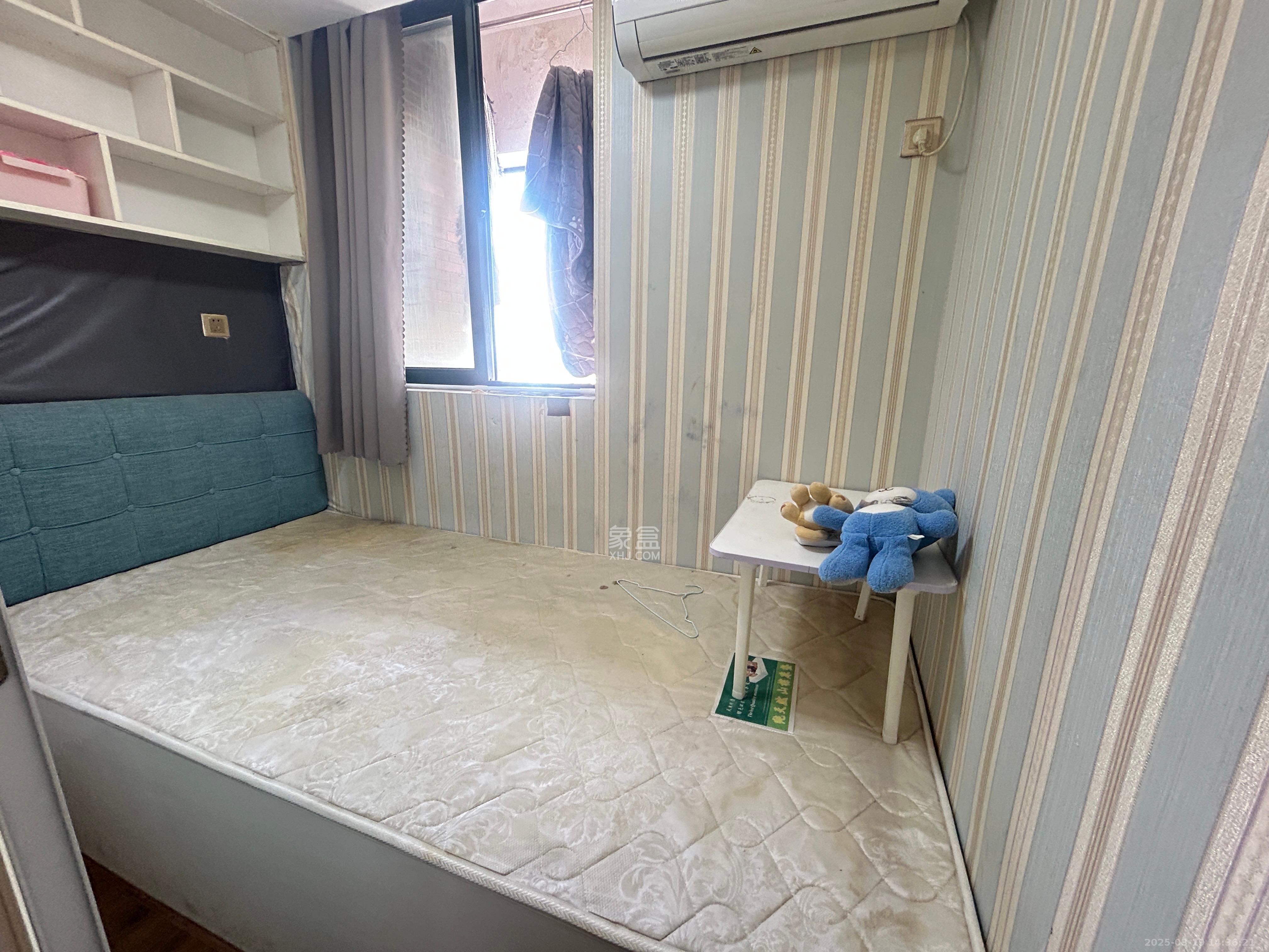 新青年公寓  3室1厅1卫   2300.00元/月室内图