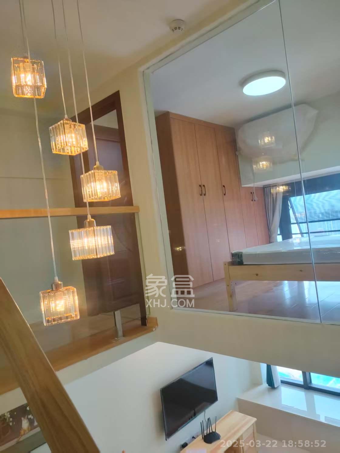 建发央玺（建发泱玺雅苑）  2室2厅1卫   2800.00元/月室内图