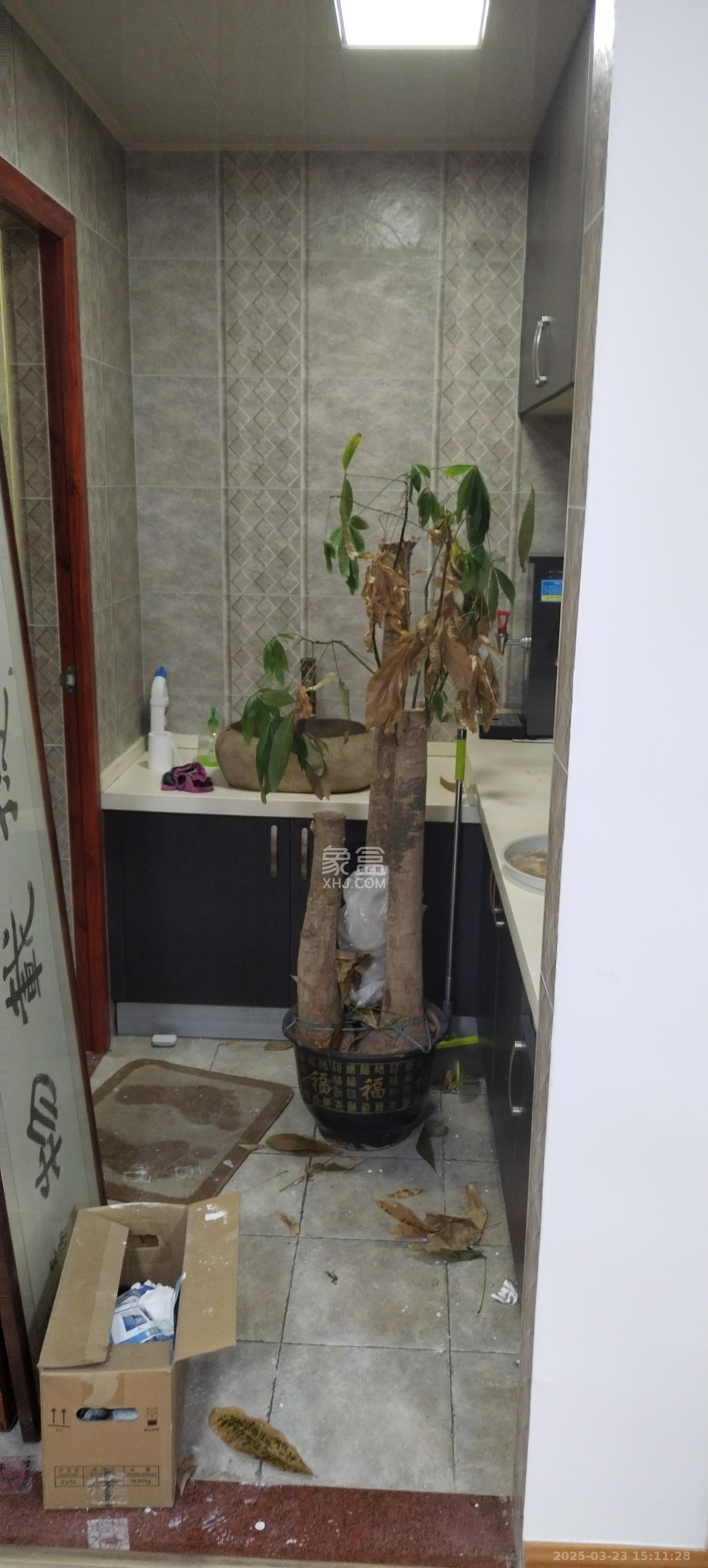 园康星都荟  3室1厅1卫   3000.00元/月室内图
