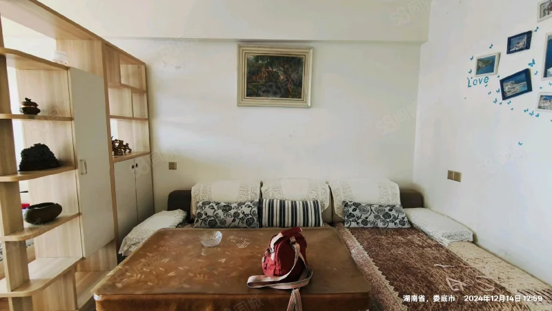 吉泰领寓  1室1厅1卫    40.0万客厅