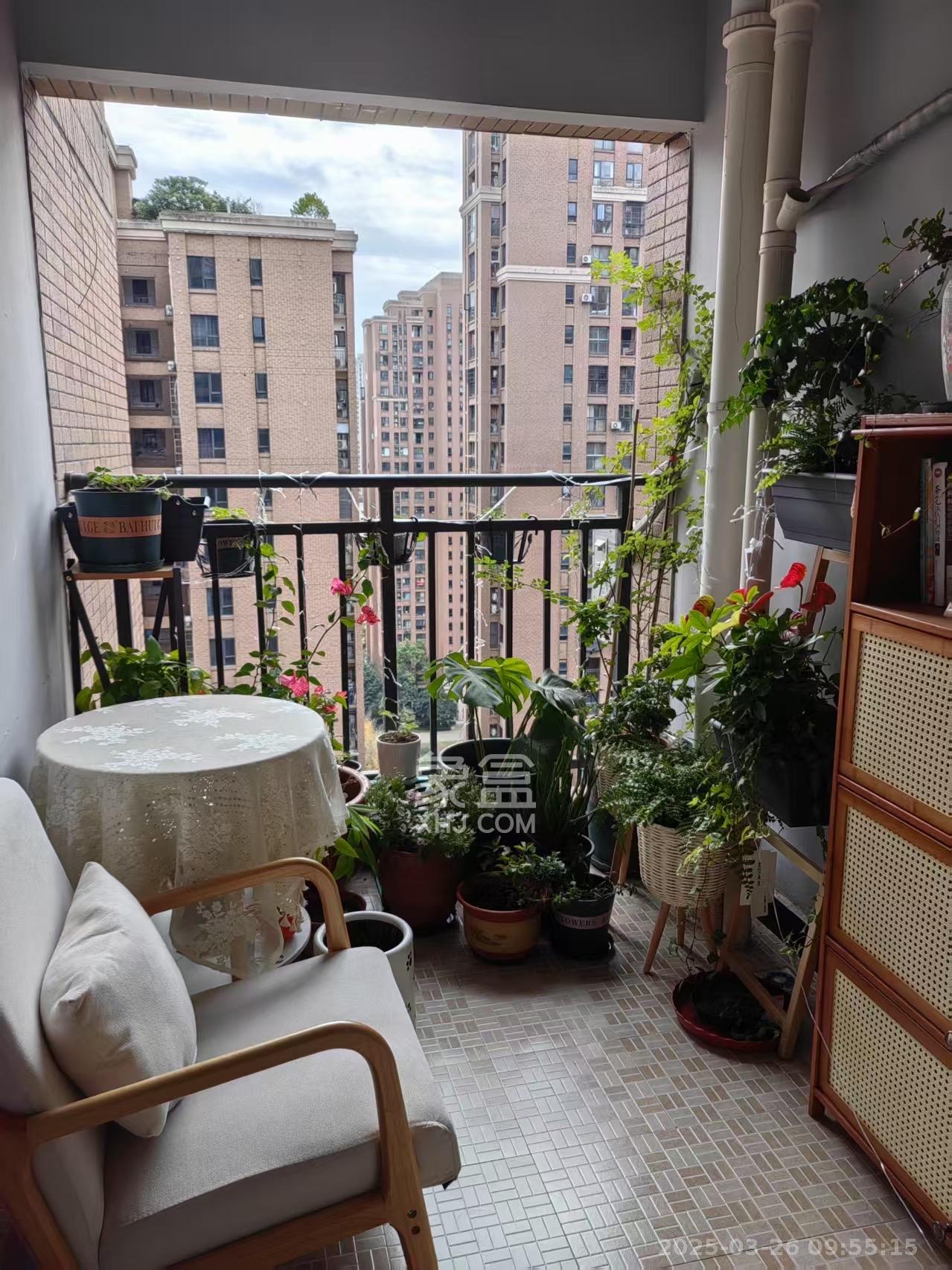 三一街区 2室2厅1卫 1800.0元/月 三一街区 2室2厅1卫 1800.0元/月室内图