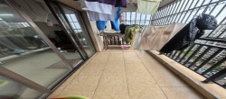 滨江绿都  3室2厅2卫   180.00万