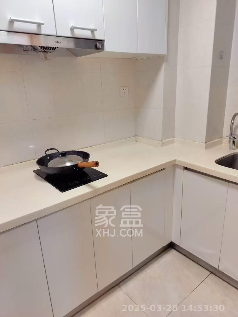 中海新城熙岸(中信新城五期) 1室1厅1卫 1600.0元/月 中海新城熙岸(中信新城五期) 1室1厅1卫 1600.0元/月室内图