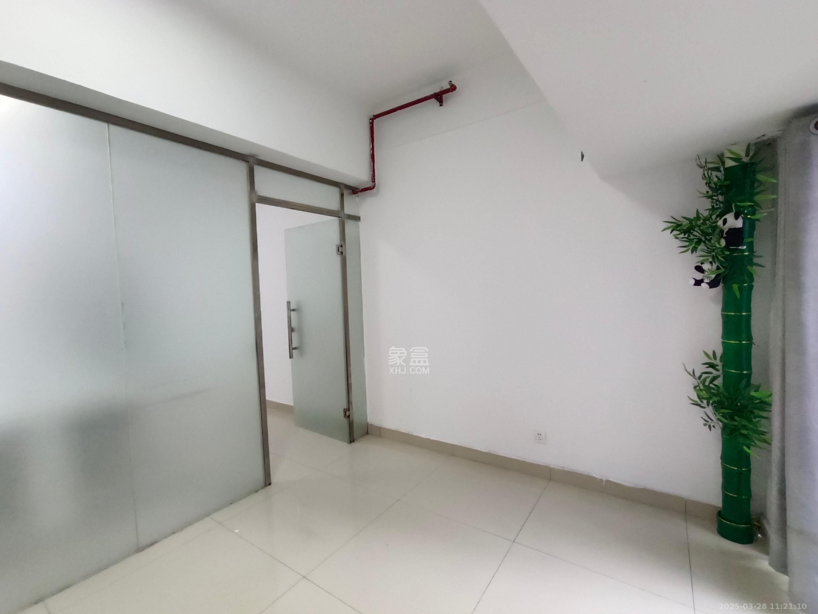 达美D6区   43.0㎡     2000.00元/月室内图