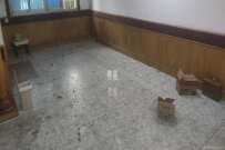 谊苑小区解放四村附362号  3室1厅1卫    1600.0元/月 谊苑小区解放四村附362号  3室1厅1卫    1600.0元/月